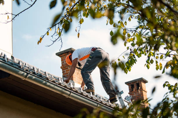 Best Roof Gutter Cleaning  in Hillcrest, NY